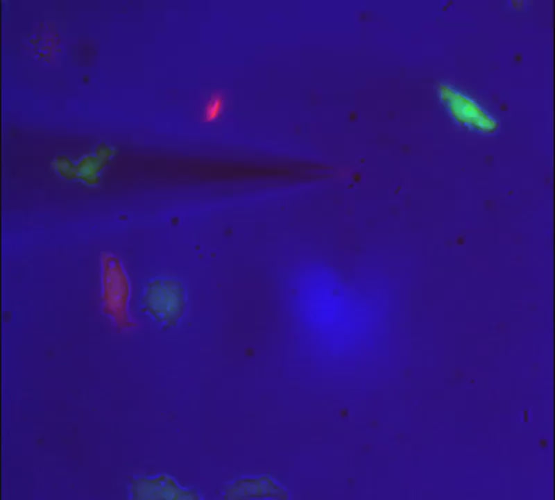 Load video: